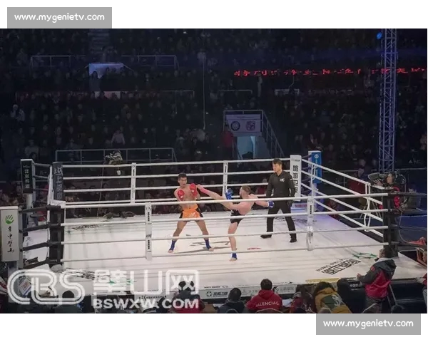 聚焦全球体育赛事直播盛宴打造极致观赛新体验平台互动共享新时代