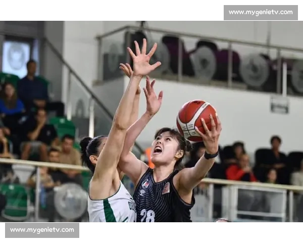 今日篮球比分速览：焦点对决结果与走势一文掌握赛场亮点与关键数据全解读