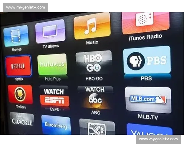 体育平台用户体验全面解析与服务口碑深度评测